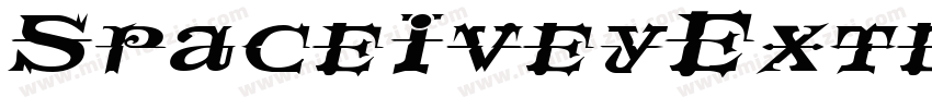 SpaceIveyExtended Italic字体转换
